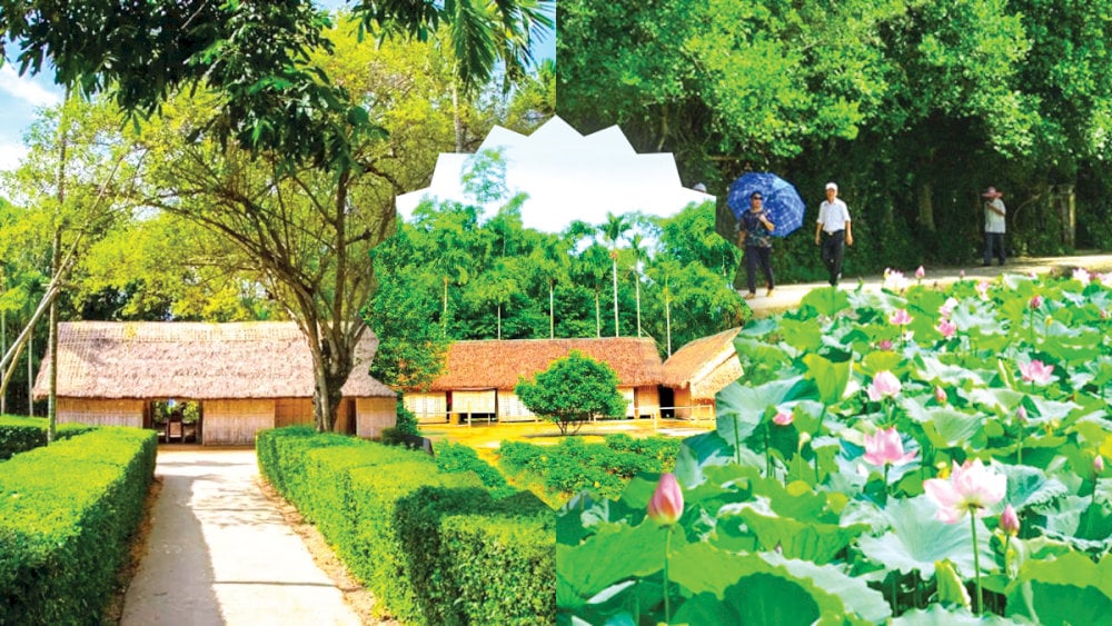 Làng Sen quê Bác